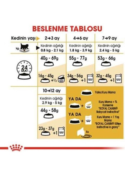 Kitten Persian 32 Yavru Iran Irk Maması 2 kg indirimleri