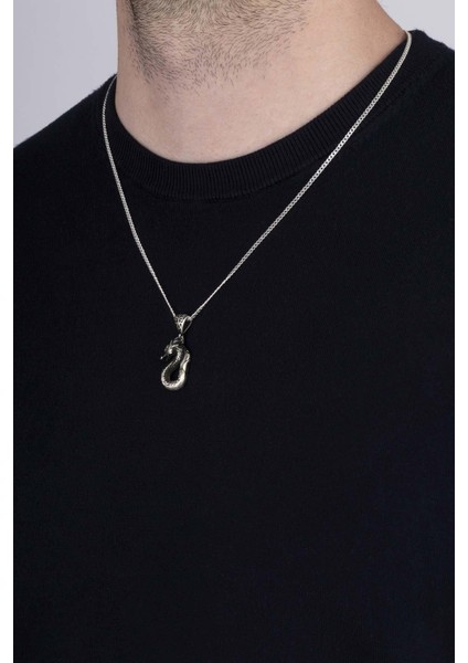 Ejderha Motifli Erkek Gümüş Kolye fiyatları