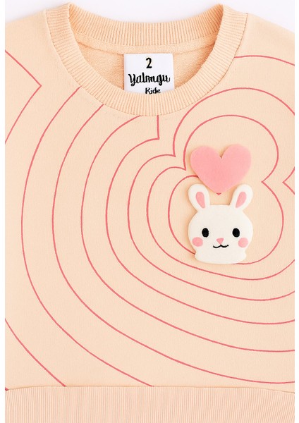 1-4 Yaş 2 Iplik Kompakt Penye Çocuk Eşofman Takımı I Nefes Alan Yumuşacık Kumaş I modelleri