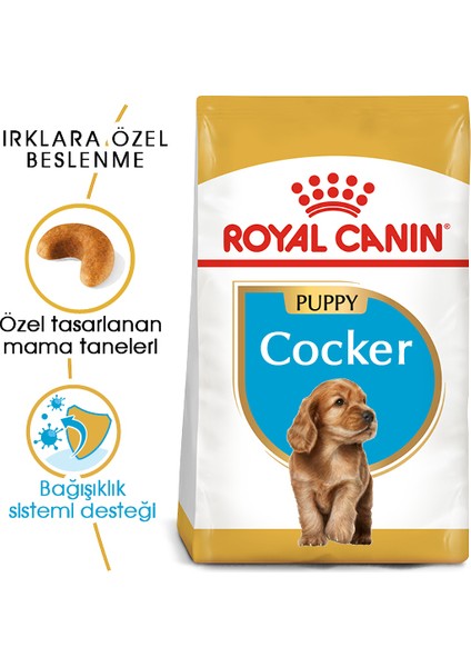 Cocker Junior Puppy Yavru Köpek Maması 3 kg