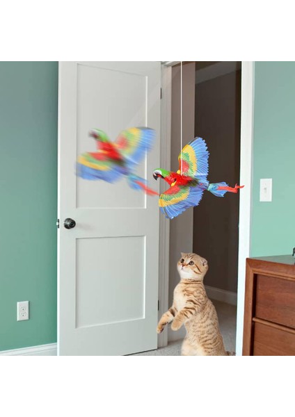 Uçan Papağan Kedi Oyuncağı fırsatları