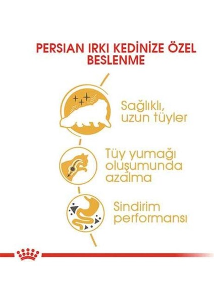 Persian Adult Kuru Kedi Maması 4 kg fiyatları