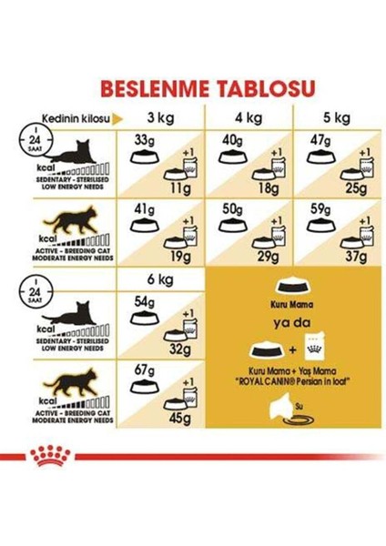 Persian Adult Kuru Kedi Maması 4 kg fırsatları