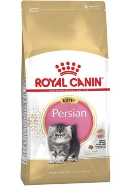 Persian Kitten Yavru Iran Kedisi Maması 2 kg