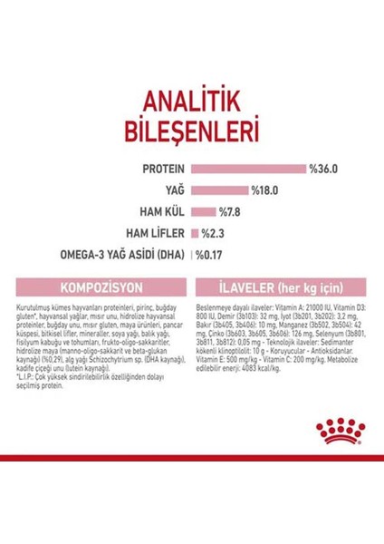 Kıtten- Yavru Kedi Maması- 4 kg fiyatları