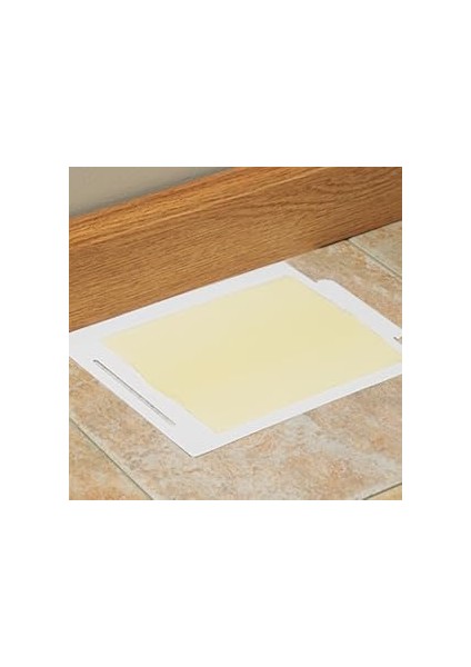 Fare Yılan Çiyan Kırkayak Örümcek Yakalama Bantı Çok Güçlü Yapışkan Kesin Sonuç