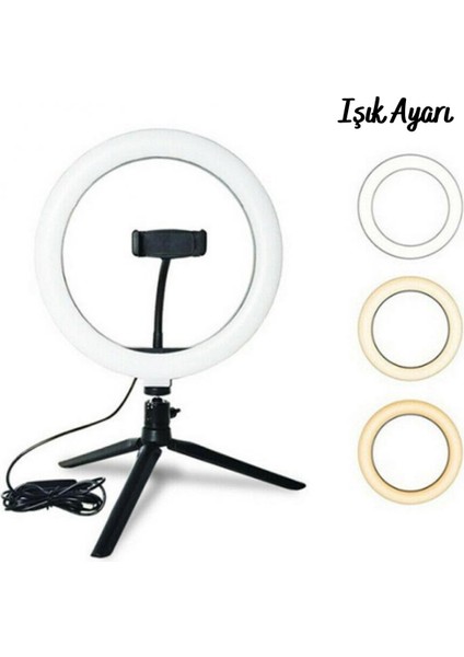 8inç 20CM Youtube Instagram Tiktok Selfie Stüdyo Video Fotoğraf Ring Light Tripod LED Halka Işık (5051) fırsatları
