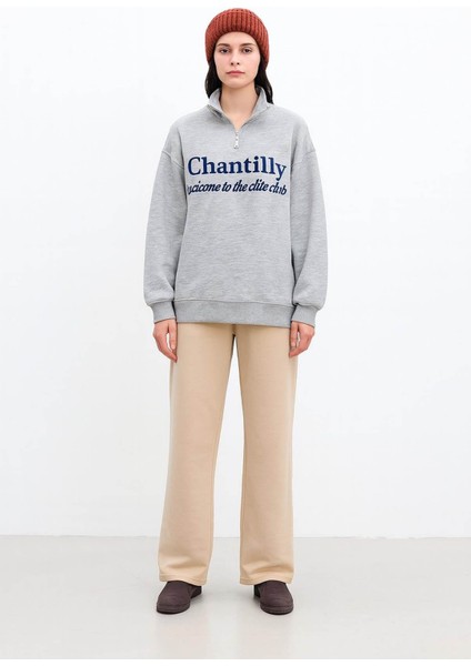 Oversize Yakası Fermuarlı Gri Kadın Sweatshirt 25K0133K1