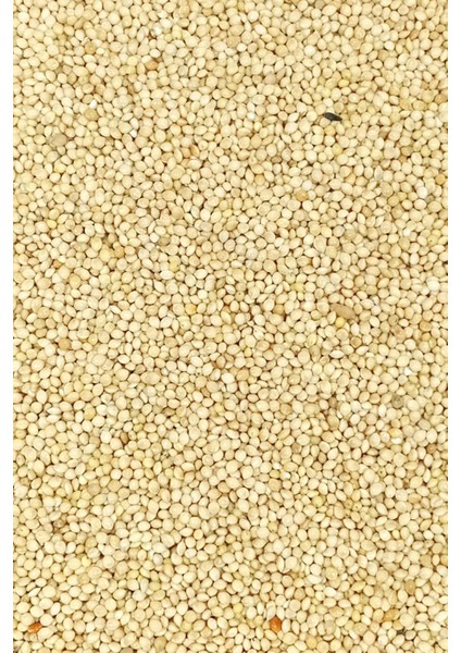 Ak Darı Sade Tozsuz Doğal Taze Kuş Yemi - 1 kg modelleri