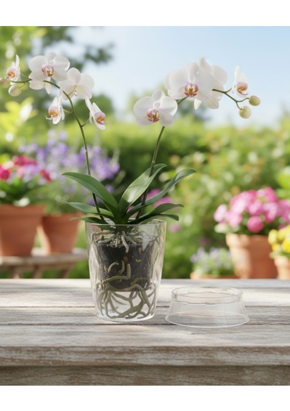 Ayaklı Standlı Orkide Saksı – Burgu Desenli, Şık ve Dekoratif Tasarım fiyatları