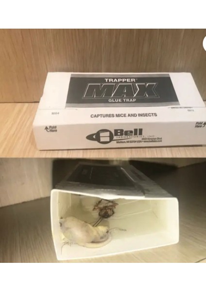 Dünyanın En Iyi Güçlü Fare 5ADET Yakalayıcı Yapışkanlı Bantı Tutucu modelleri