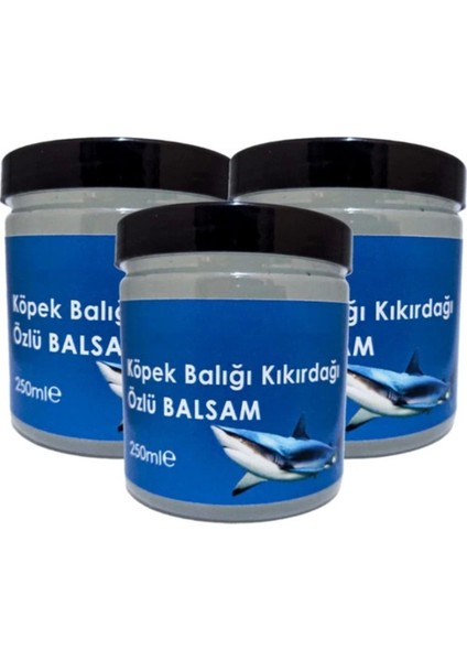 Köpek Balığı Kıkırdağı Özlü Balsam HZNKS030 3ADET 250 ml Paincream Agrikremi