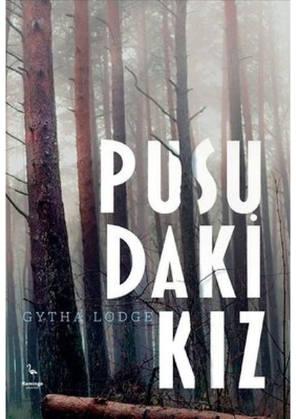 Pusudaki Kız