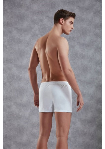 Erkek Boxer 1511 fiyatları