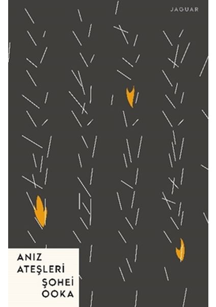 Anız Ateşleri