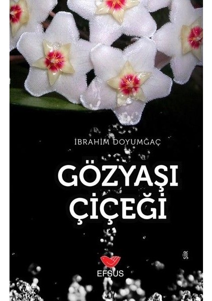 Gözyaşı Çiçeği