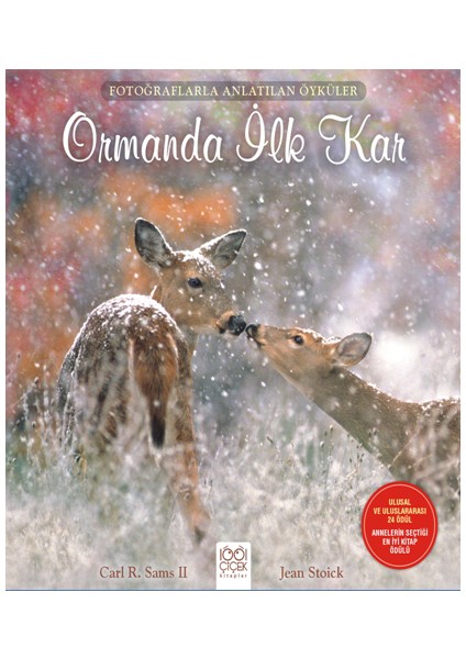 Fotoğraflarla Anlatılan Öyküler - Ormanda Ilk Kar