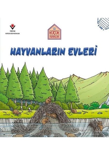 Hayvanların Evleri - Küçük Mimarlar