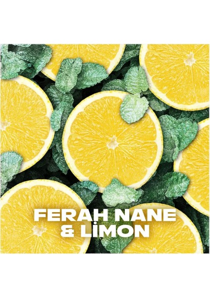 2 Adet Axe Ice Chill Erkek Deodorant Sprey 150 ml modelleri