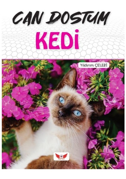 Can Dostum Kedi