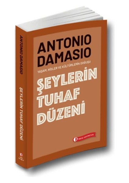 Şeylerin Tuhaf Düzeni
