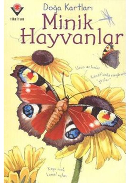 Doğa Kartları - Minik Hayvanlar