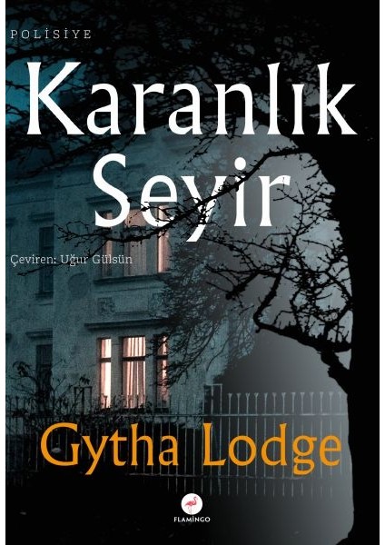 Karanlık Seyir