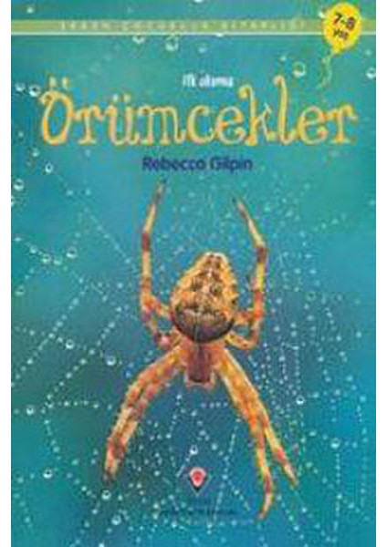 Ilk Okuma - Örümcekler