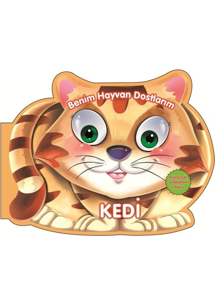 Kedi - Benim Hayvan Dostlarım (Ciltli)