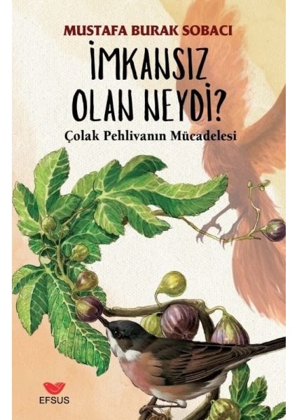 Imkansız Olan Neydi