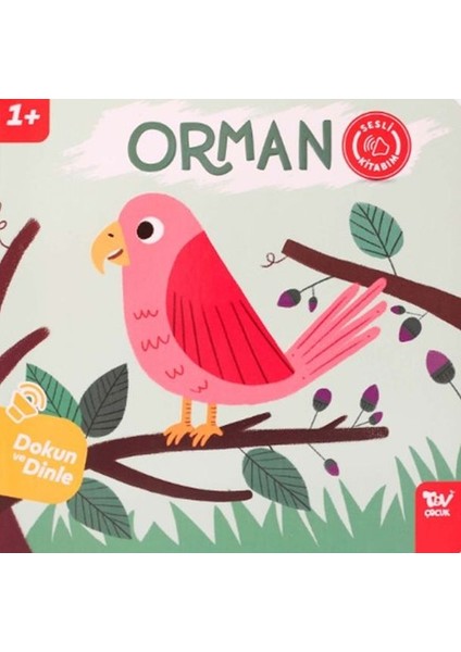 Dokun ve Dinle Sesli Kitabım Orman