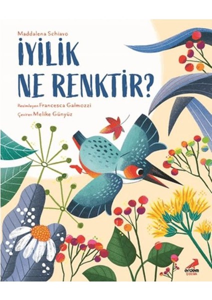 Iyilik Ne Renktir?