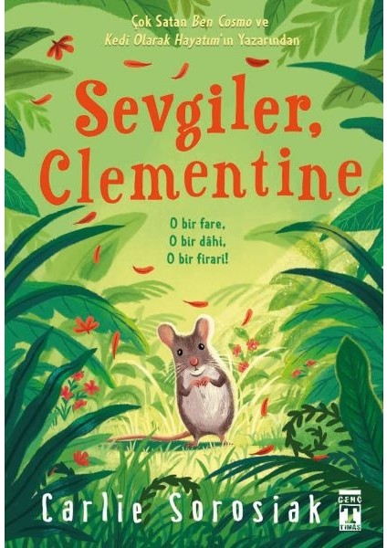 Sevgiler Clementine