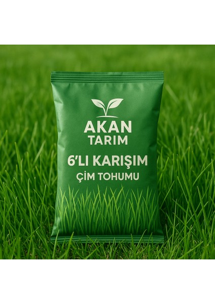 Akan Tarım Gerçek 6'lı Karışım Çok Yıllık Çim Tohumu 3 kg