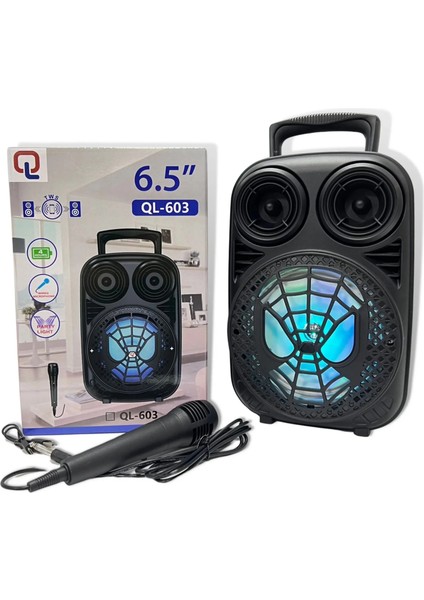 Taşınabilir 6,5 Inç Açık Hava Kablosuz Bluetooth Hoparlör QL-603 (5248) modelleri