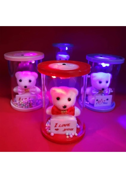 Işıklı Cam Fanus Içinde Ayıcık ( Lisinya )