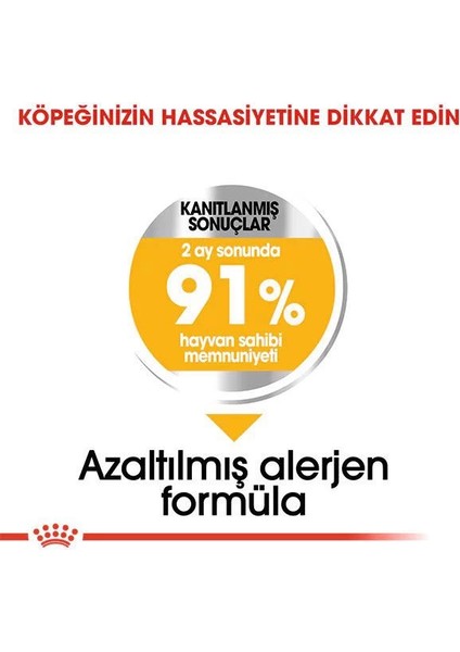 Royal Canin Mini Dermacomfort Yetişkin Köpek Maması 3 kg fırsatları