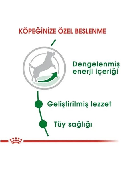 Royal Canin Mini Adult Küçük Irk Yetişkin Köpek Maması 2 kg modelleri