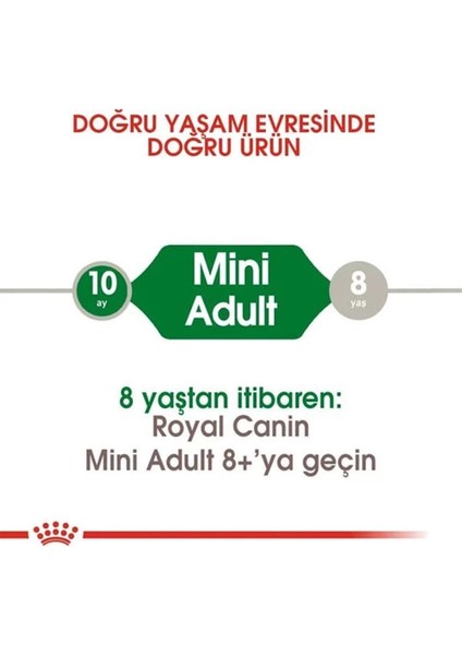Royal Canin Mini Adult Küçük Irk Yetişkin Köpek Maması 2 kg fırsatları