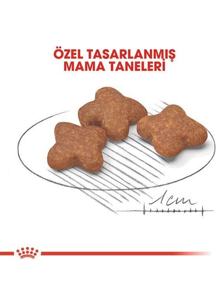 Royal Canin Mini Adult 8+ Küçük Irk Yaşlı Köpek Maması 2 kg fırsatları