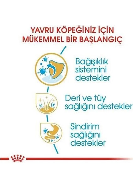 Royal Canin Cocker Junior Yavru Köpek Maması 3 kg modelleri