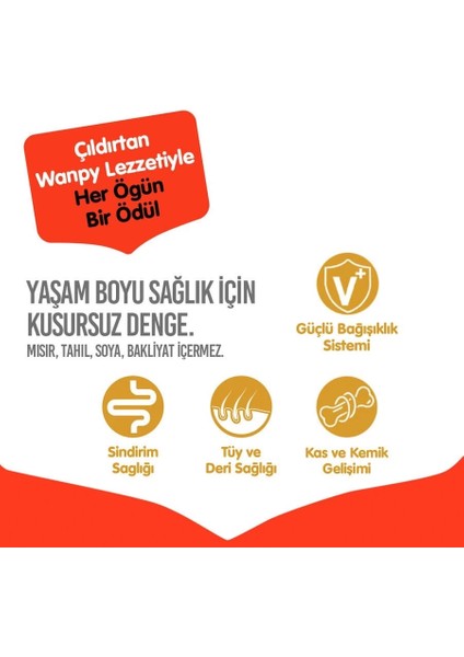Wanpy Ördekli Tahılsız Yetişkin Köpek Maması 1.5 kg modelleri