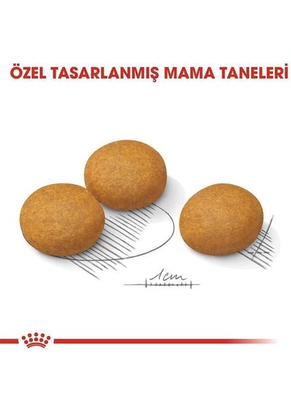 Royal Canin Adult Maxi Dermacomfort Yetişkin Köpek Maması 12 kg indirimleri