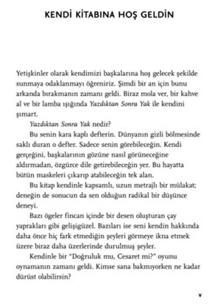 Yazdıktan Sonra Yak - Sharon Jones 160 Sayfa Ciltsiz modelleri