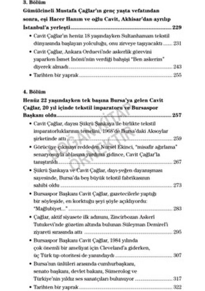 Cavit Çağlar: Fırtınalı Bir Yaşamöyküsü - Hulusi Turgut