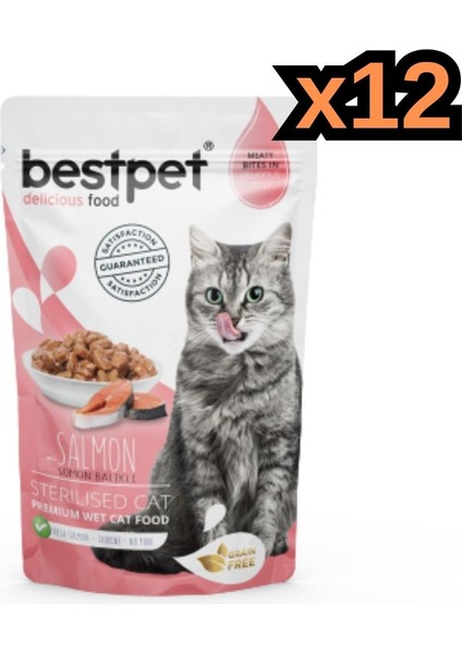 Kısırlaştırılmış Kediler Için Tahılsız, Jöle Içinde Somon Parça Etli Yaş Mama 12X85 gr