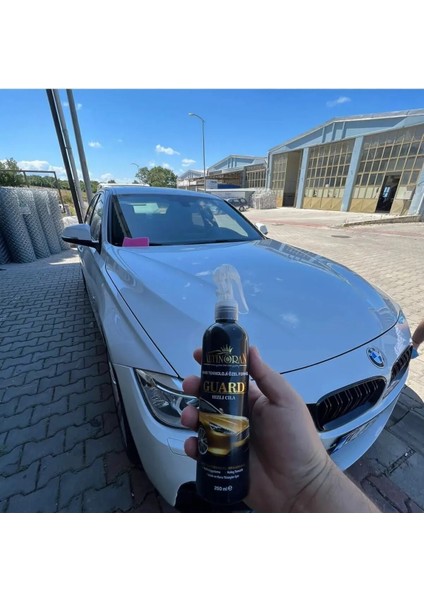 Çizik Giderme ve Hızlı Cila Seti (Pasta Cila 150GR + Guard Hızlı Cila 250ML) indirimleri