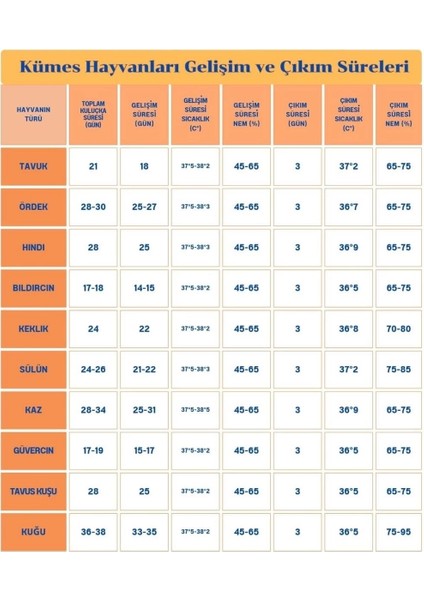 60 Yumurta Kapasiteli Tam Otomatik Kuluçka Makinesi - Civciv, Kaz, Hindi ve Ördek Yetiştiriciliği EPO-W60 fırsatları