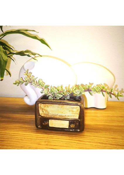 Retro Radyo Sukulent Saksısı ve Kalemlik - Masaüstü Dekoratif Organizer Kahverengi 12*8