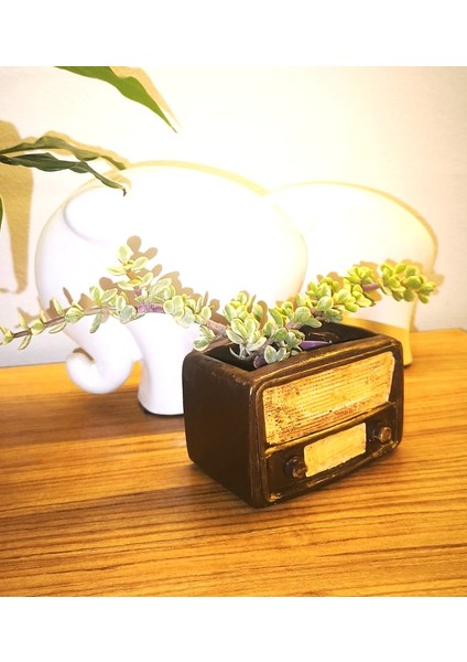 Retro Radyo Sukulent Saksısı ve Kalemlik - Masaüstü Dekoratif Organizer Kahverengi 12*8 modelleri